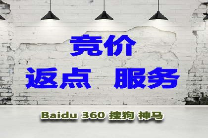 某企业SEM广告投放的转化率提升秘诀